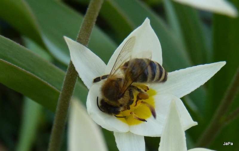 P1100460