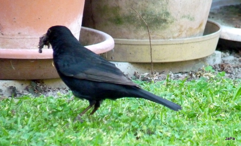 P1110025