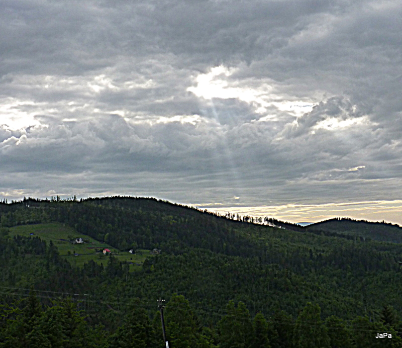 P1170353