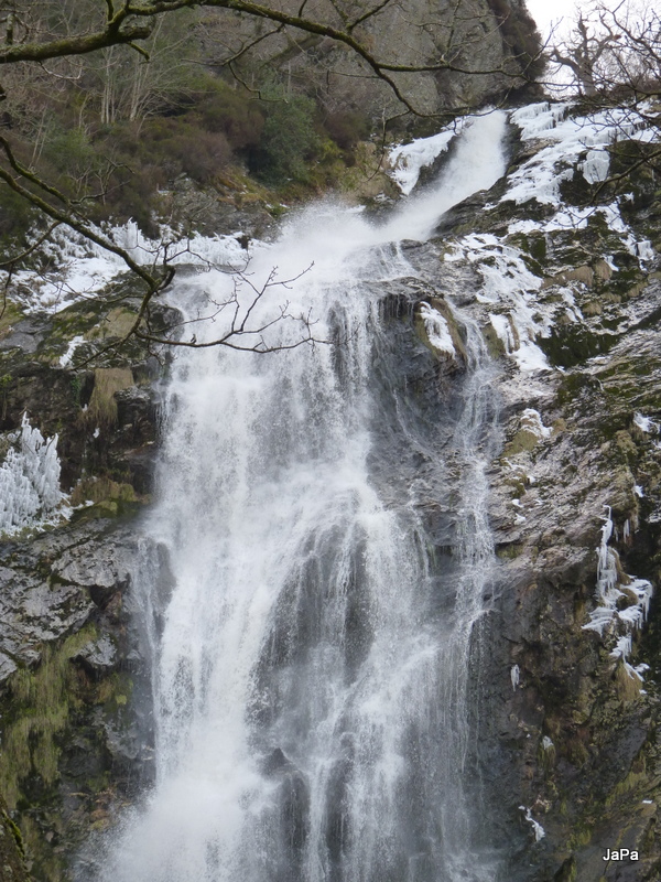 P1160685