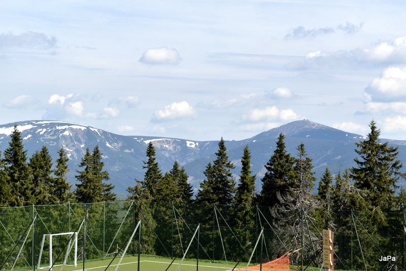 DSC_0218