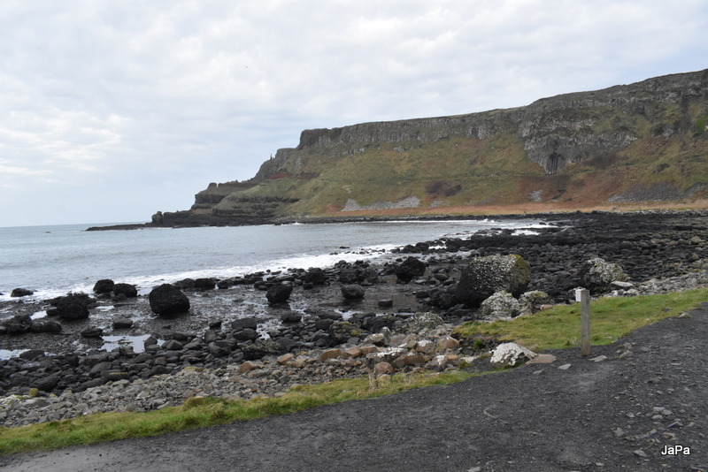 DSC_0459