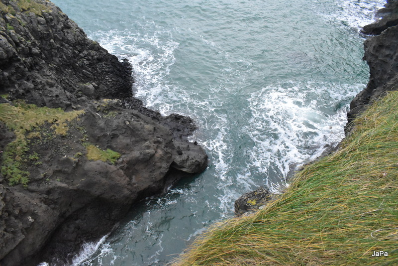 DSC_0698-001