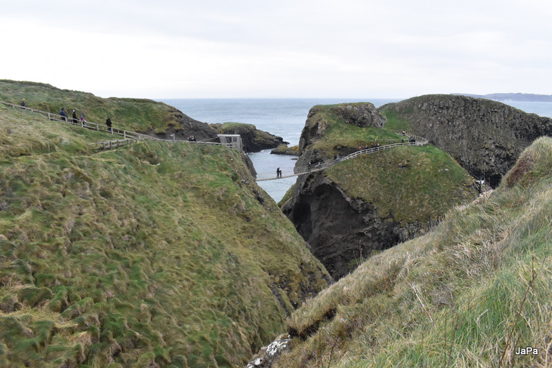 DSC_0755-001