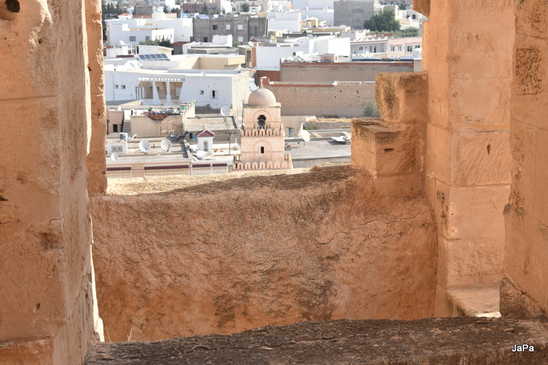 DSC_0495