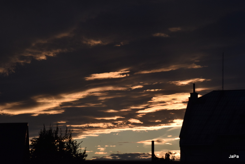 DSC_0011